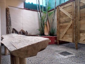 My Local Home Vallarta