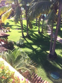 Park Royal Homestay Los Tules Puerto Vallarta
