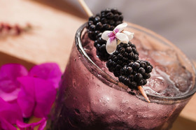 The Club at Sheraton Buganvilias