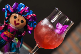 The Club at Sheraton Buganvilias