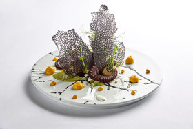 The Club at Sheraton Buganvilias