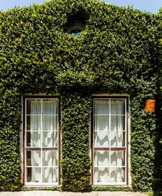The Green House
