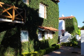 The Green House