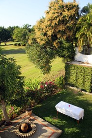 The Green House