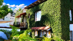 The Green House