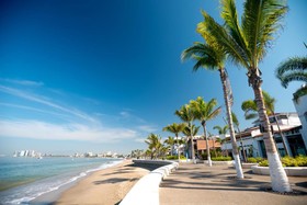 Raintrees Villa Vera Puerto Vallarta