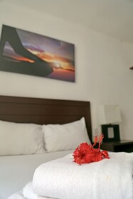 Zenharmony Suites