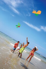 Family Selection at Grand Palladium Vallarta Resort & Spa