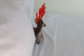 Onda Surf Hotel