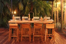 W Punta de Mita