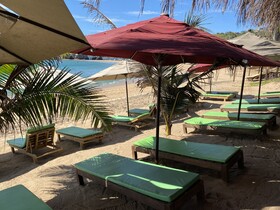 Casa Mandarina