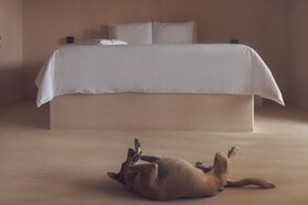 Xeno Hotel Boutique