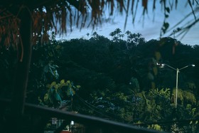 Blue Pepper Beds Sayulita