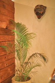 Blue Pepper Beds Sayulita