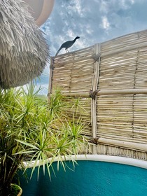 Casita Cocoon 1BR by Casago