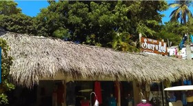 Jardin De Playa Sayulita