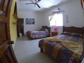 The Amazing Hostel Sayulita
