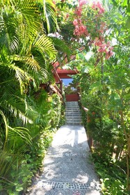 Aura del Mar