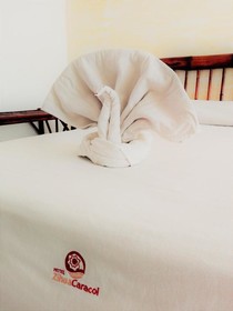 Zihua Caracol