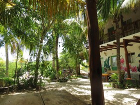 Art Maya Rooms