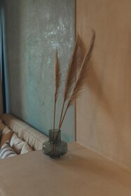 Casa Peregrino Holbox Hotel