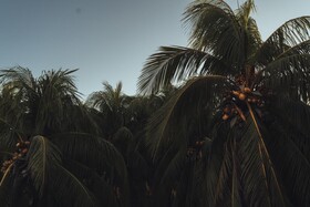 Casa Peregrino Holbox Hotel