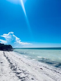 Kin Studios Holbox