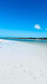 Kin Studios Holbox