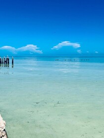 Kin Studios Holbox