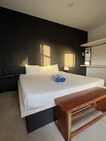 Kin Studios Holbox