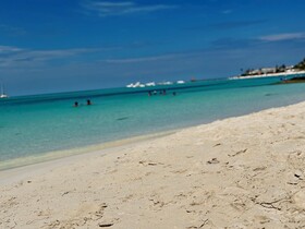 Chichis and Charlies