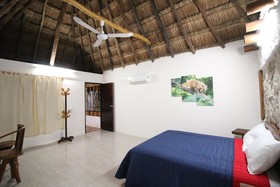 Hotel Casa Nativa