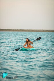 Hotel Awazul