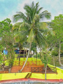 Hotel Las Nubes by MIJ