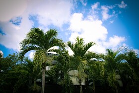 Hotel Urban Bacalar by Mij