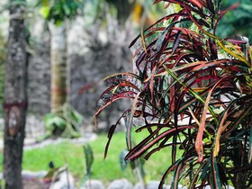 Tierra Maya Hotel Spa & Sanctuary