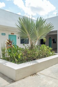 Hotel Pelicano