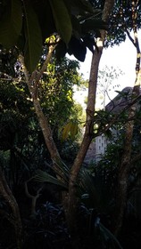 Hotel Mayahau