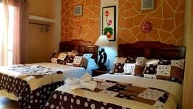 Hotel Mayahau