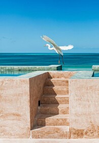 AWA Holbox Hotel Boutique