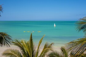 Beachfront Hotel La Palapa