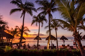 Beachfront Hotel La Palapa