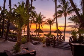 Beachfront Hotel La Palapa