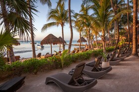 Beachfront Hotel La Palapa