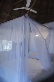 Blue Holbox Hotel