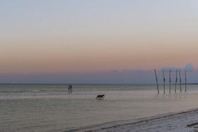 Blue Holbox Hotel