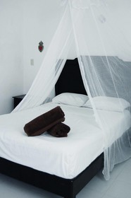 Casa Frida Holbox