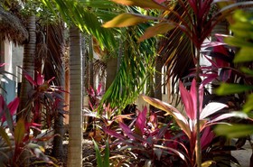 Casa Frida Holbox