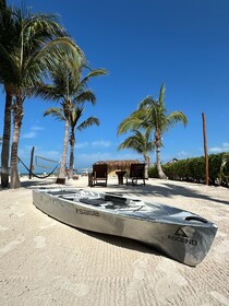 Casa Luz