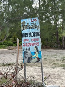 Casa Luz